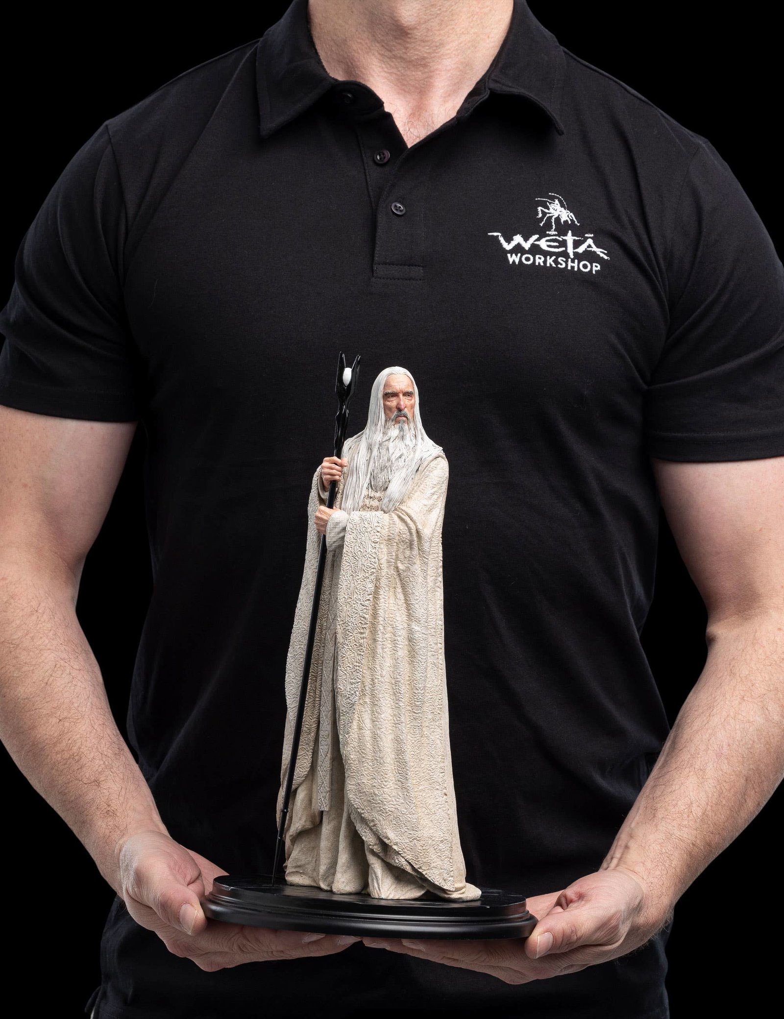 SARUMAN THE WHITE WIZARD image 9