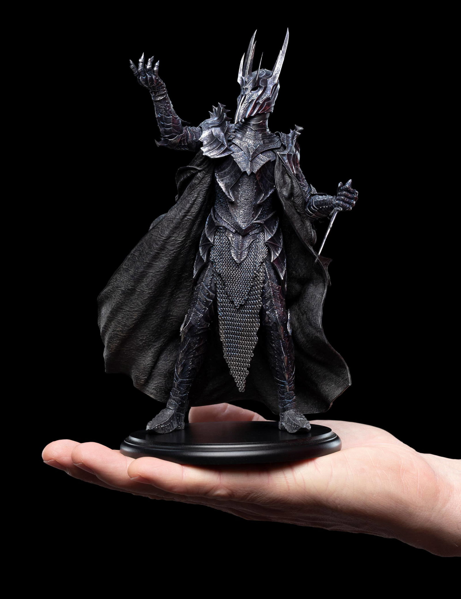 SAURON image 8