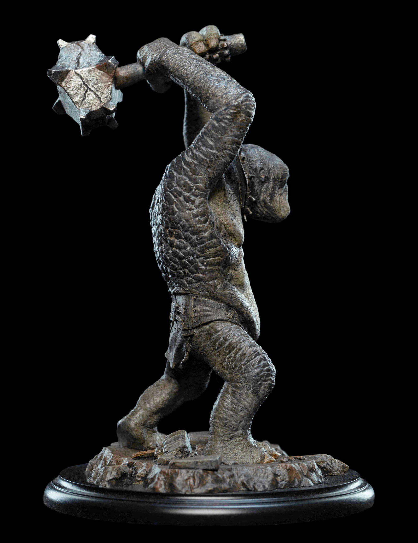 CAVE TROLL image 5