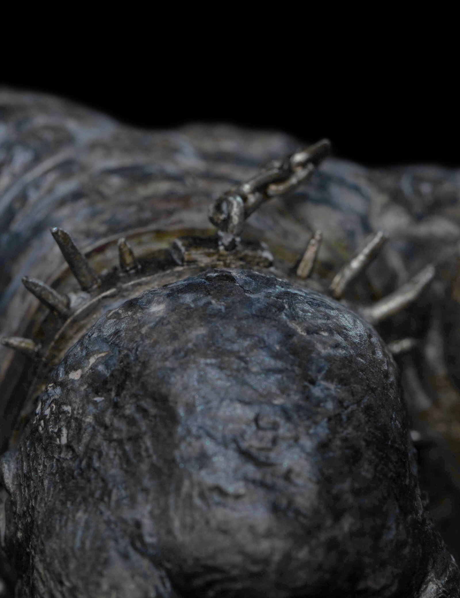 CAVE TROLL image 8