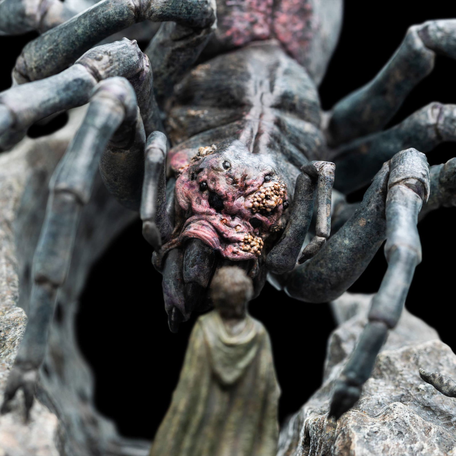 SHELOB image 10