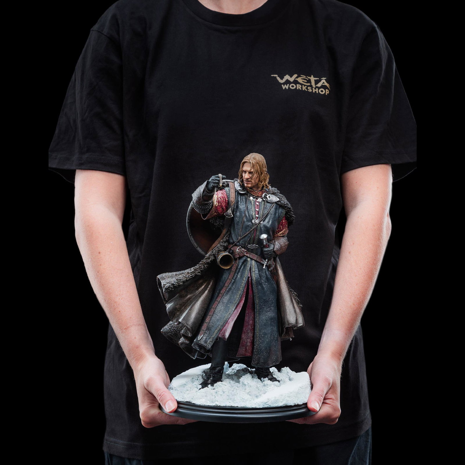 BOROMIR image 2