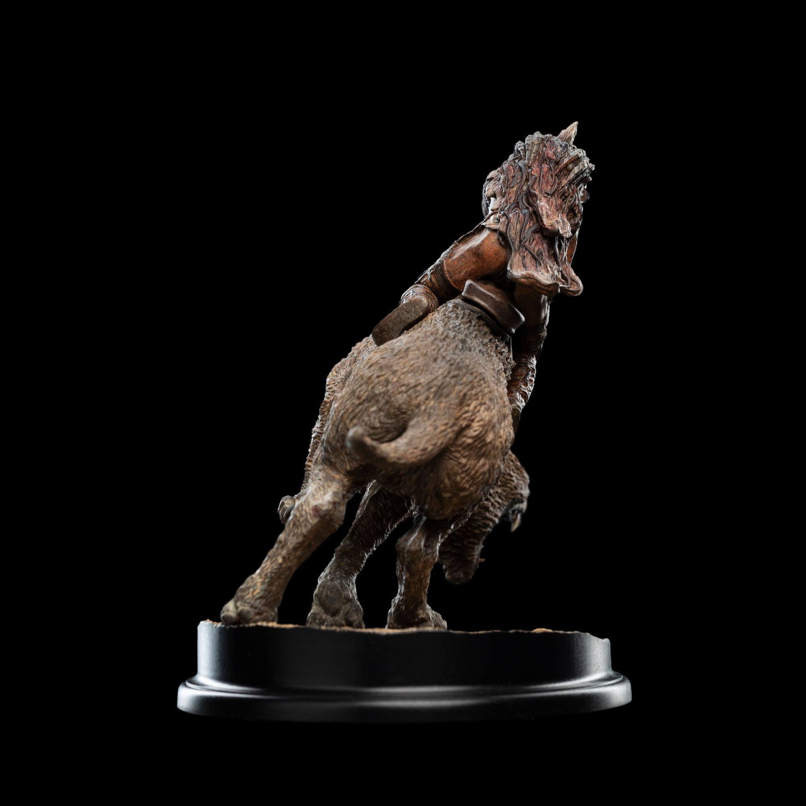 SHARKÛ ON WARG image 4