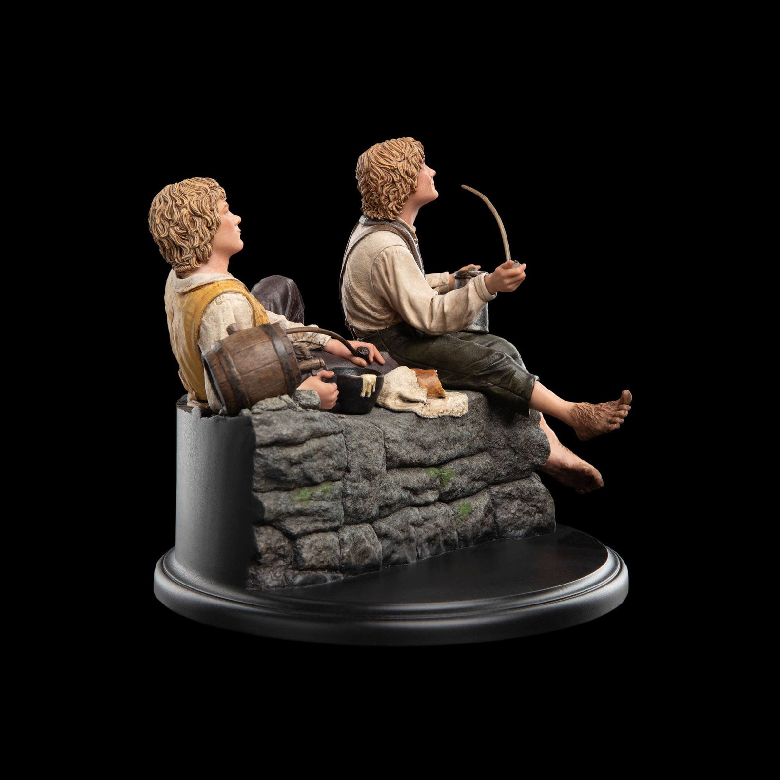 MERRY AND PIPPIN image 4
