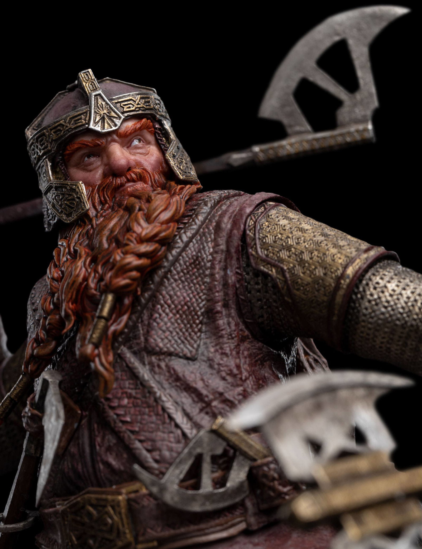 GIMLI image 6