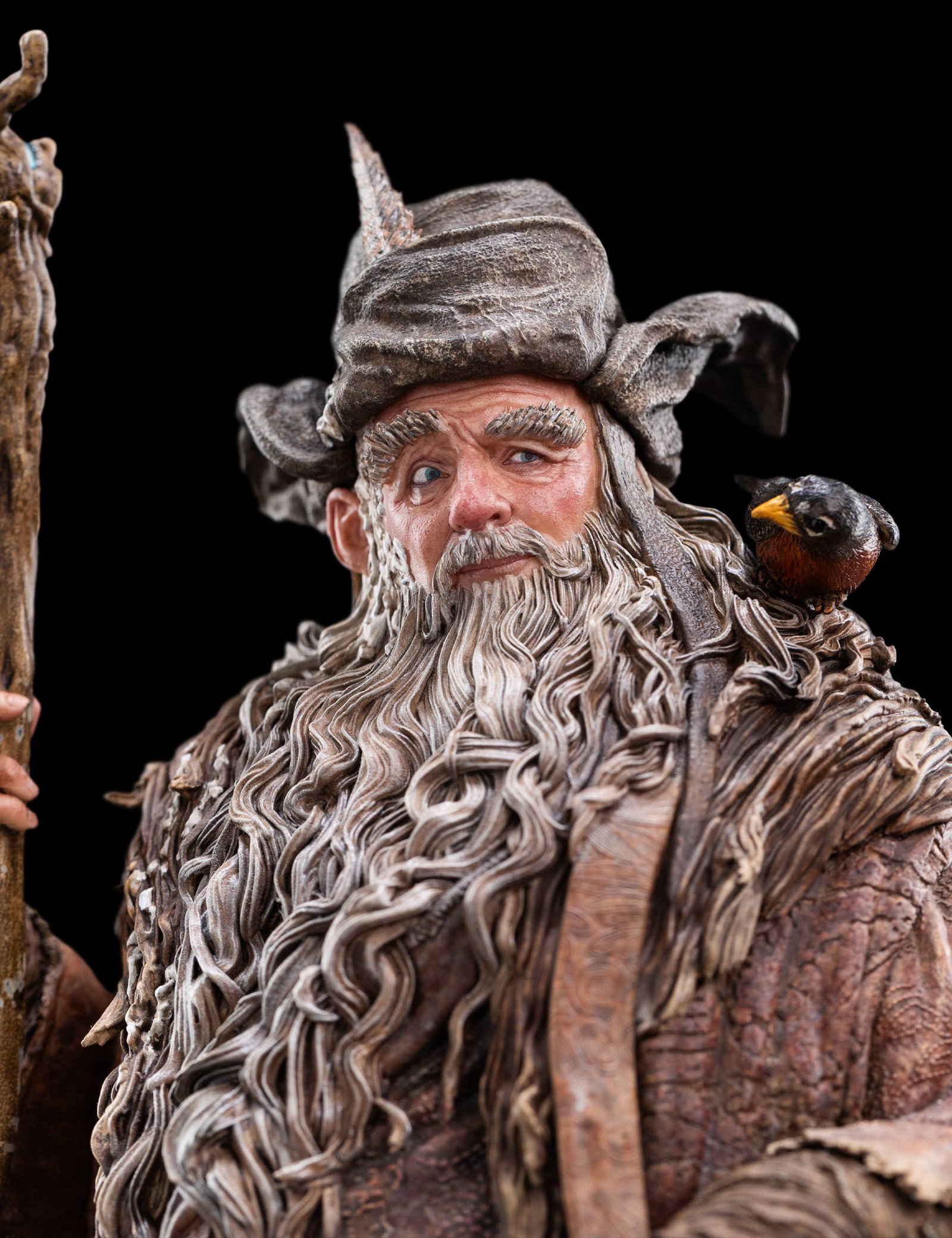 RADAGAST image 9