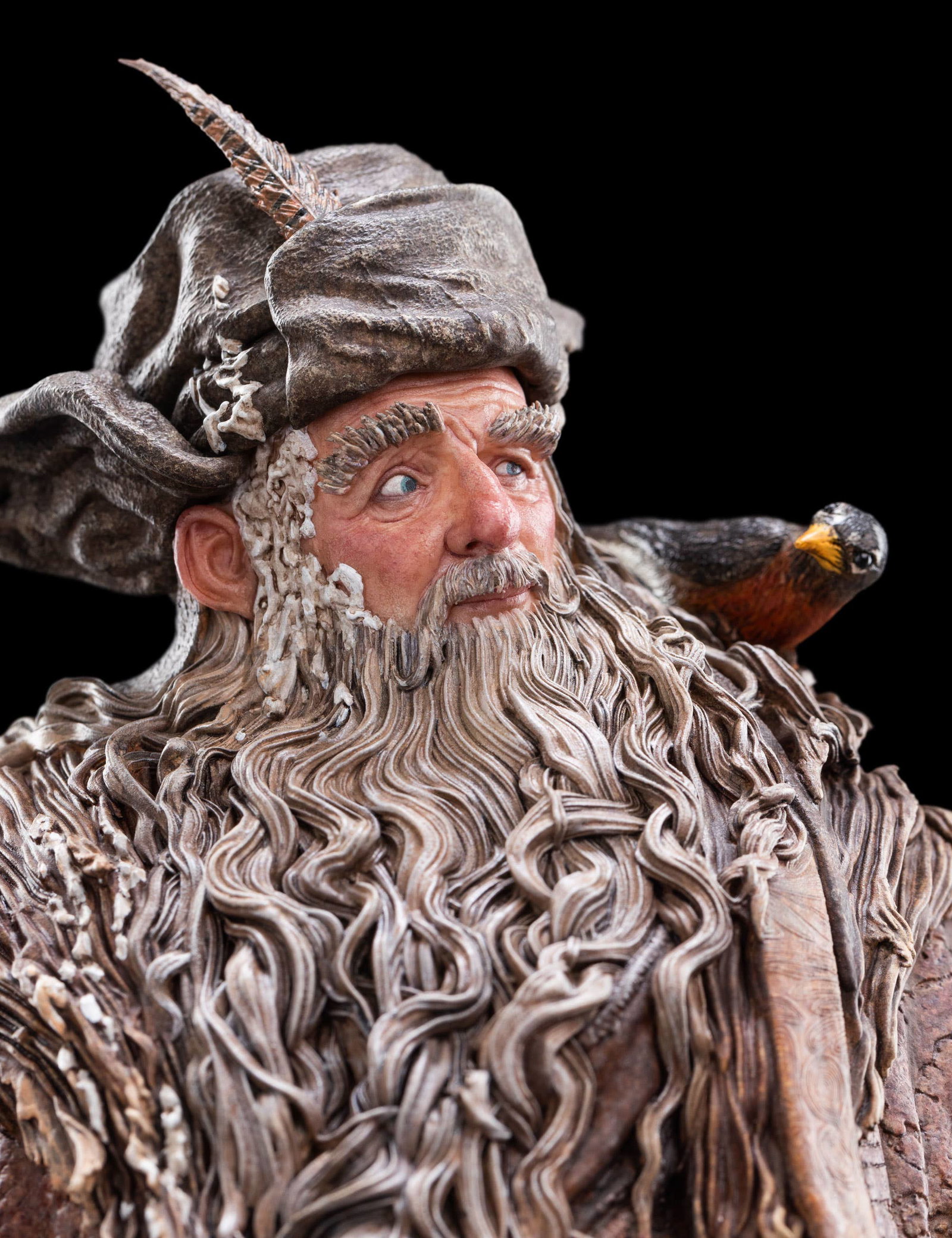 RADAGAST image 10