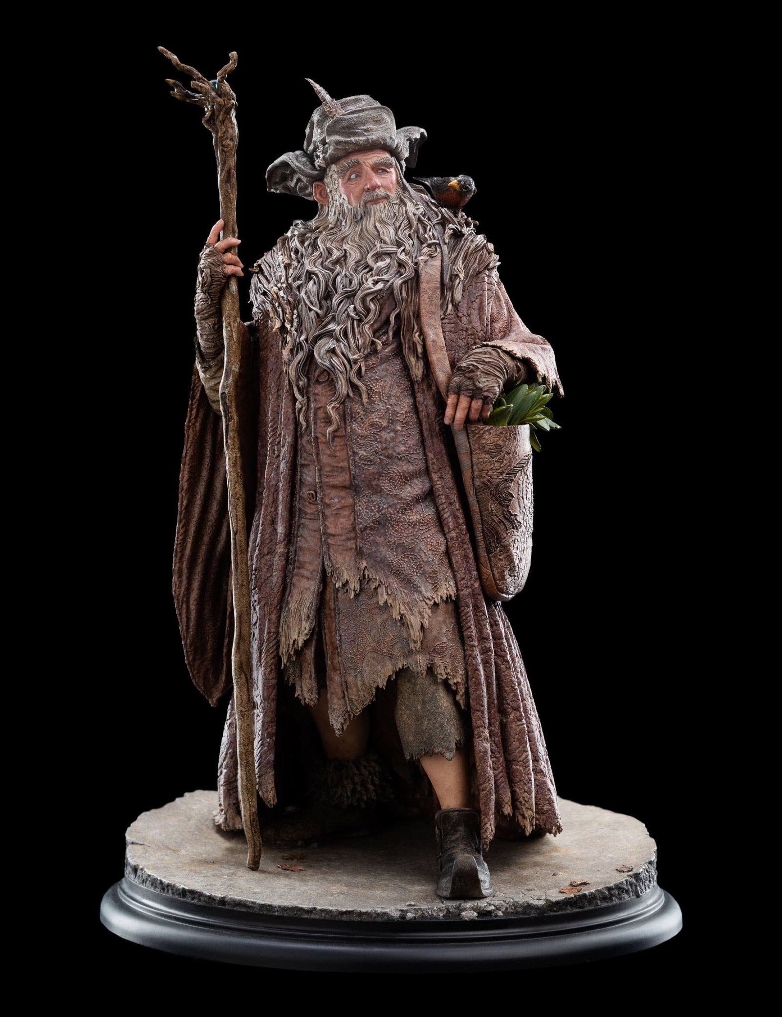 RADAGAST image 1