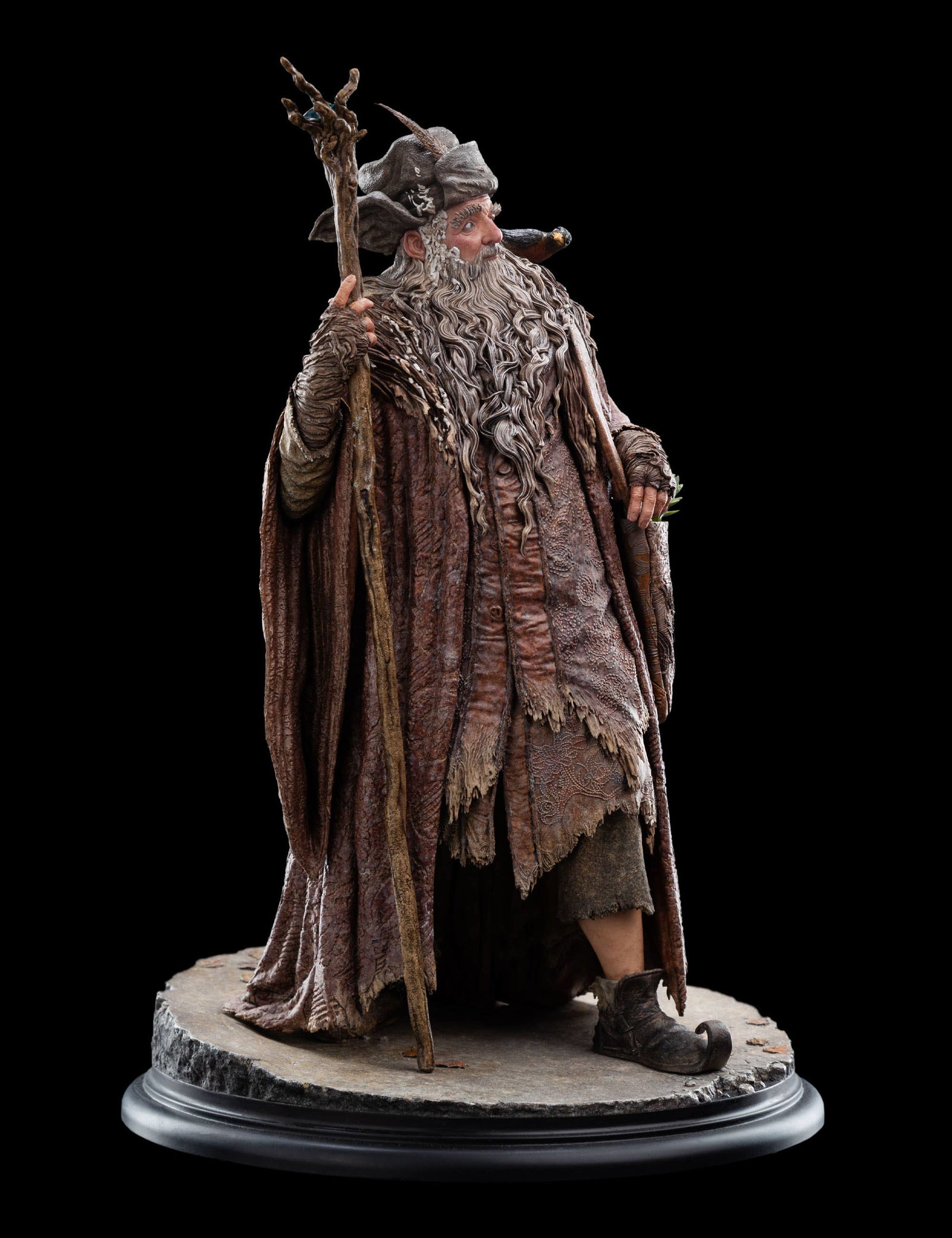 RADAGAST image 2