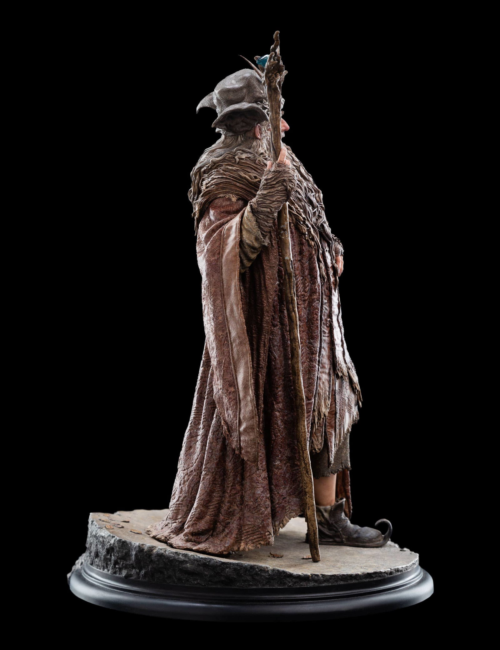 RADAGAST image 3