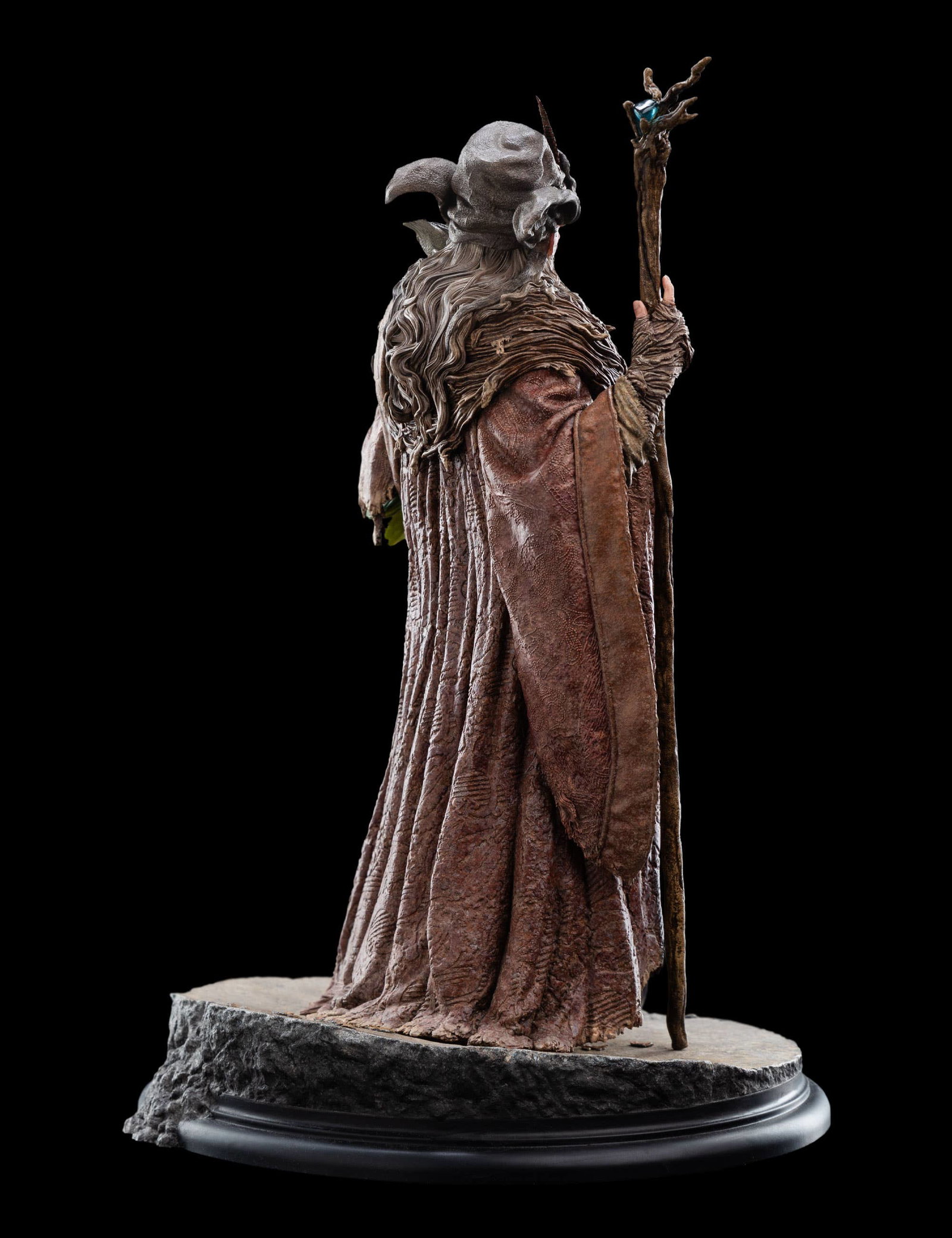 RADAGAST image 4