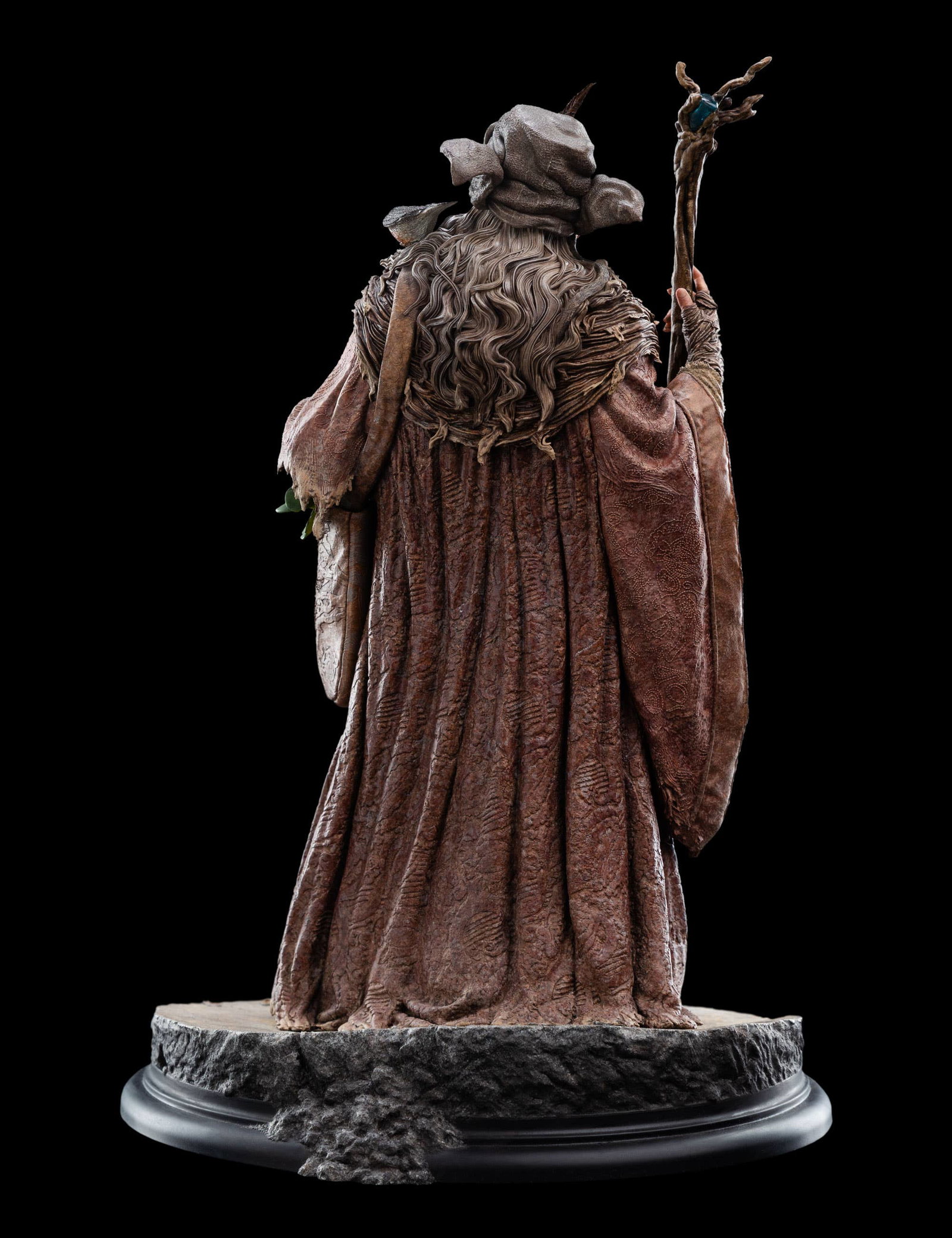 RADAGAST image 5