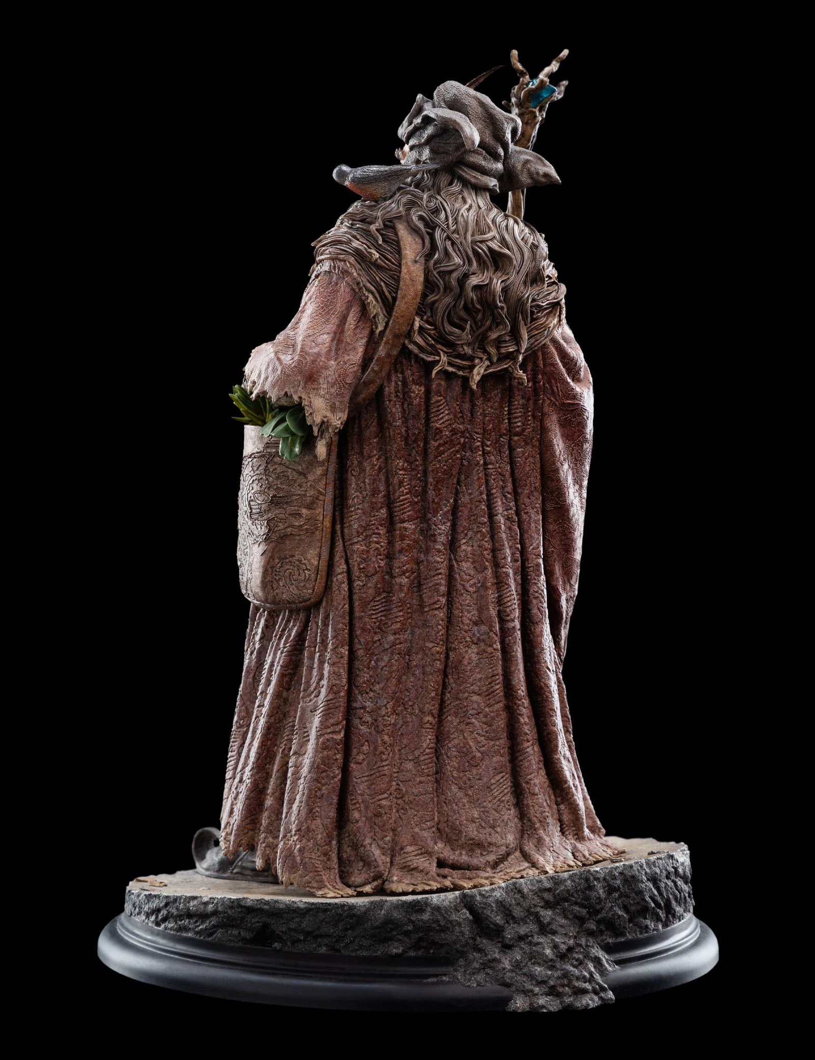 RADAGAST image 6