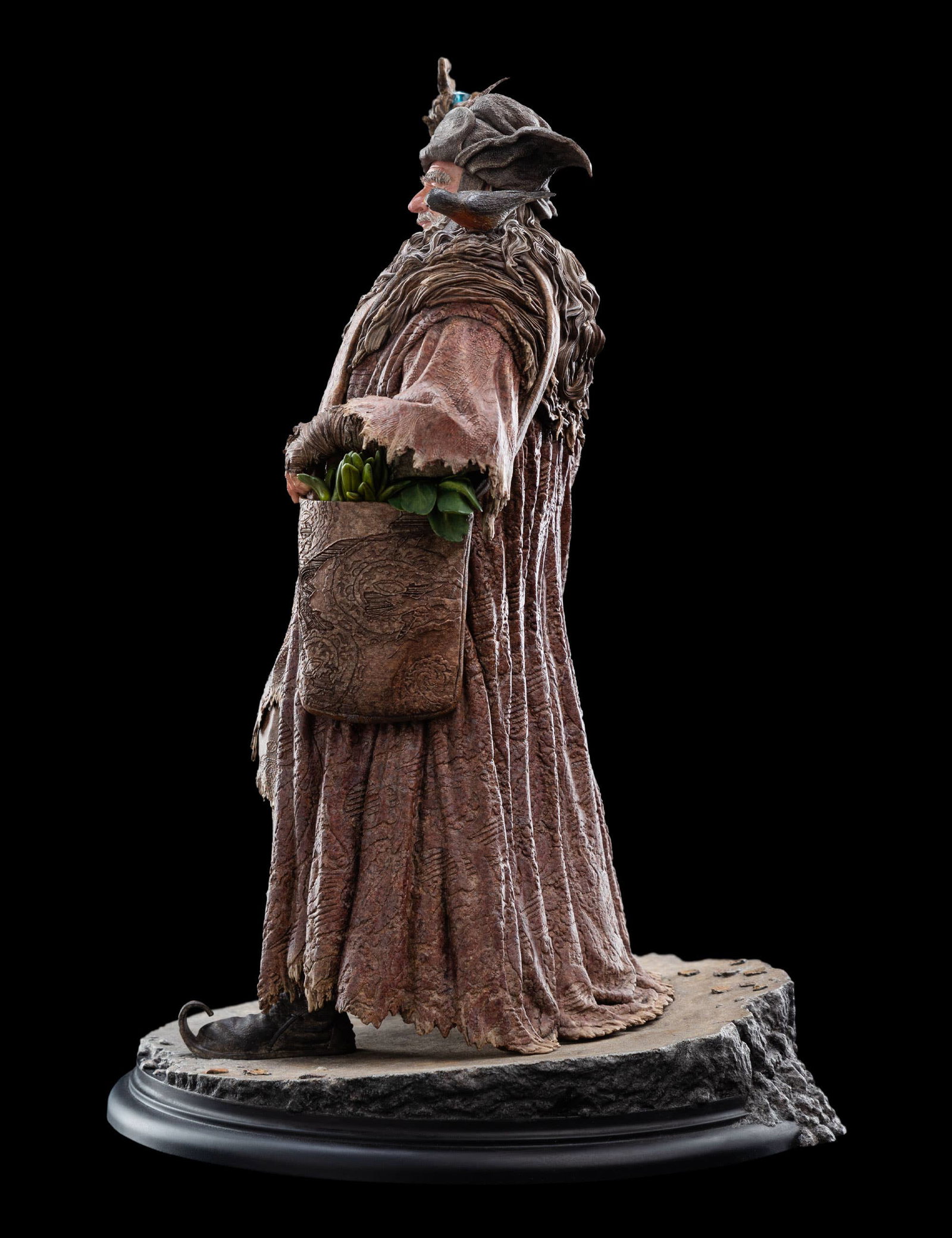 RADAGAST image 7