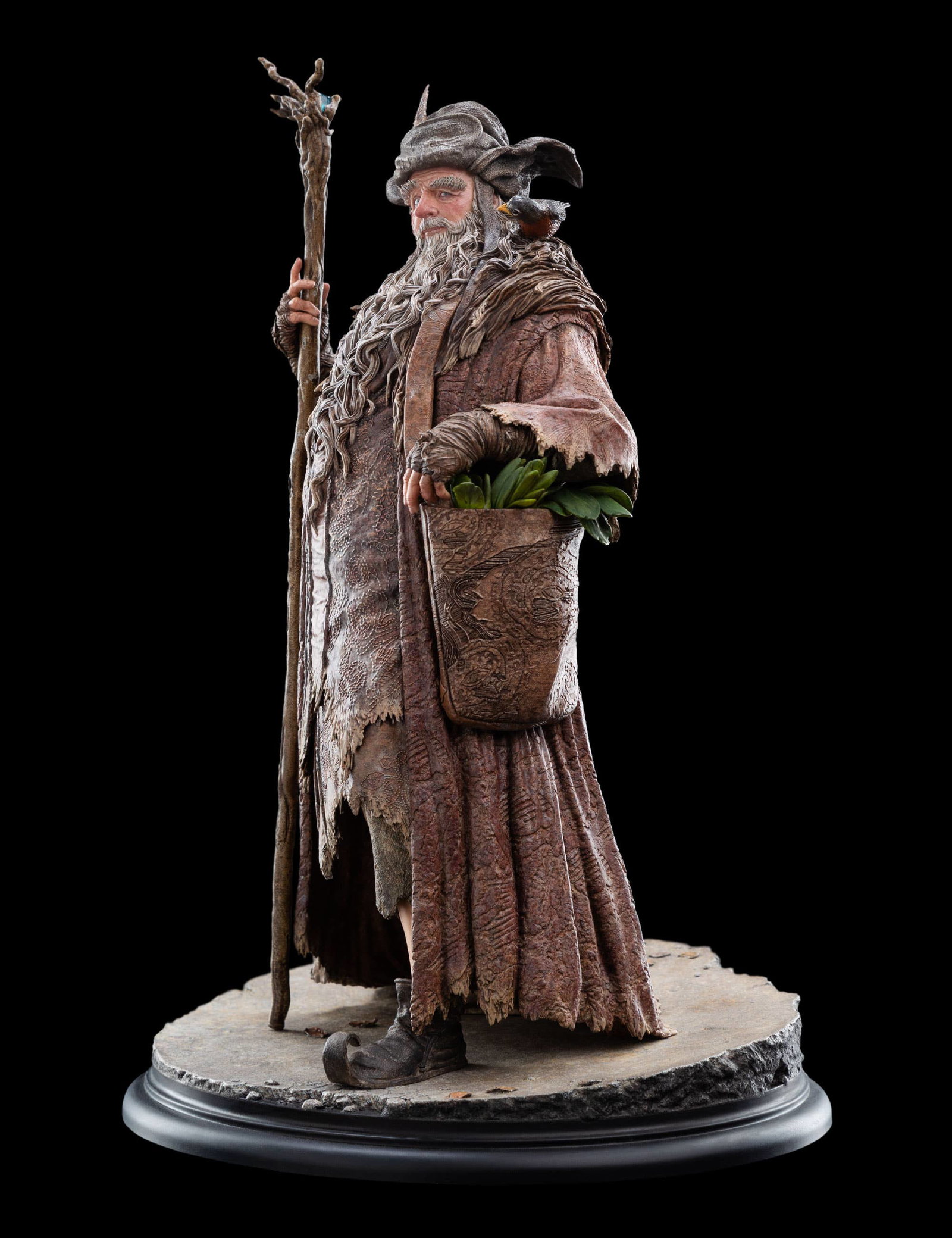RADAGAST image 8