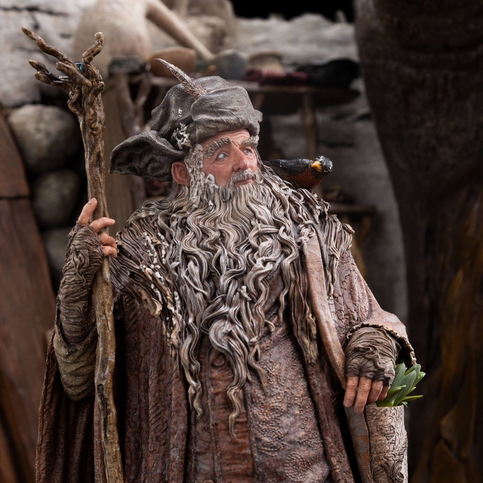RADAGAST IN RHOSGOBEL image 10