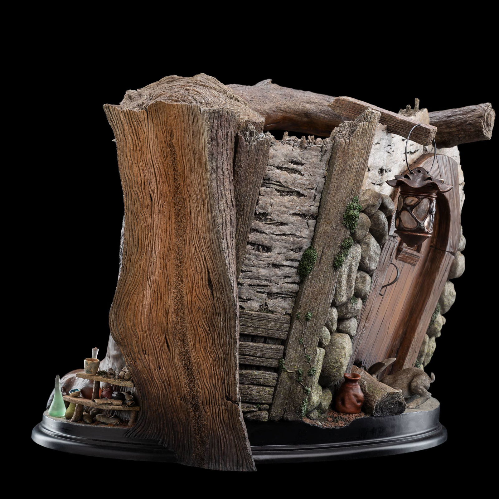 RADAGAST IN RHOSGOBEL image 6
