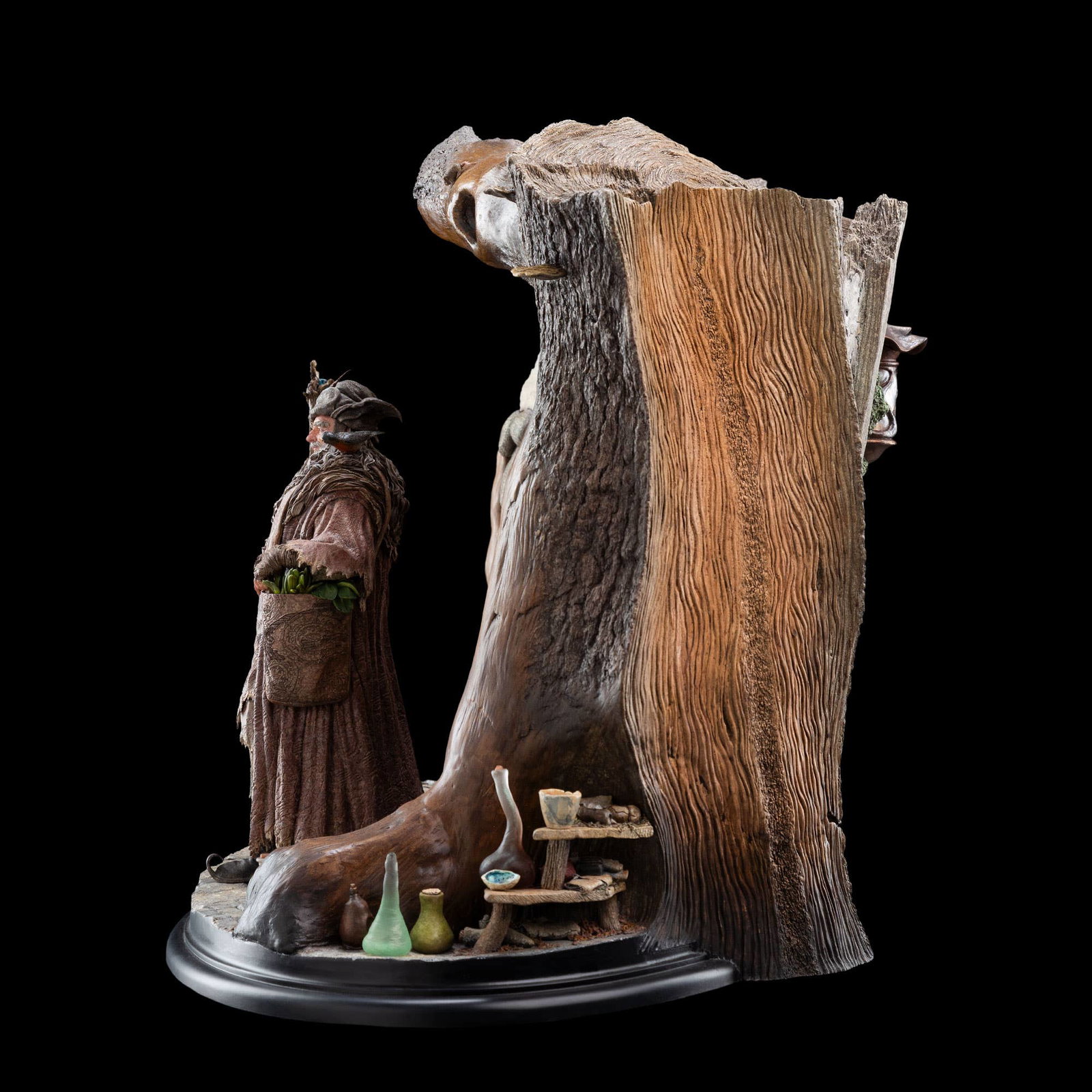 RADAGAST IN RHOSGOBEL image 7