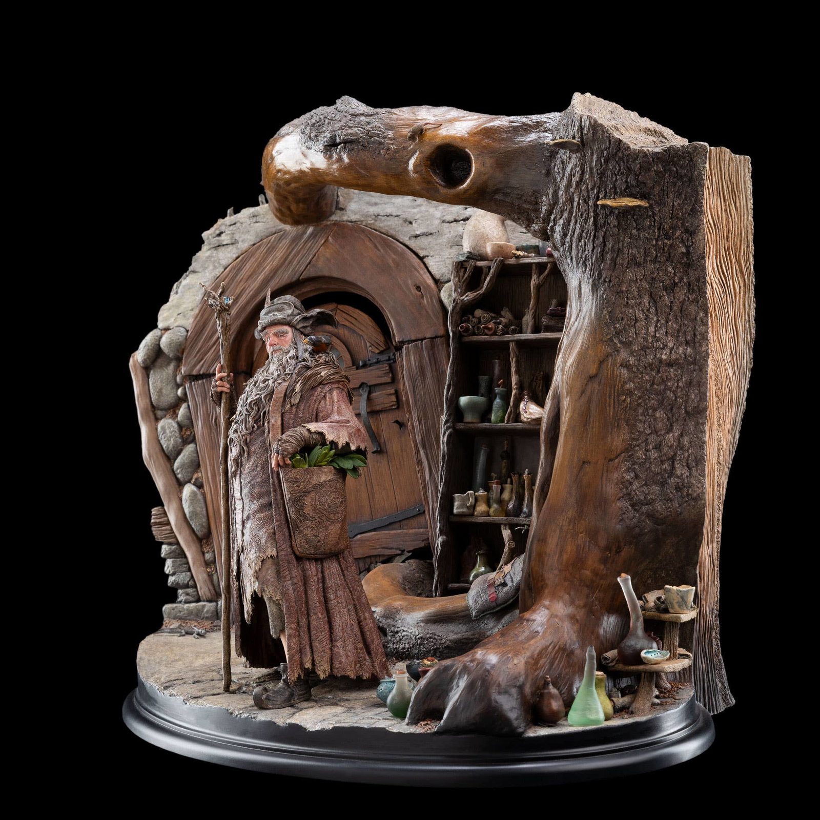 RADAGAST IN RHOSGOBEL image 8