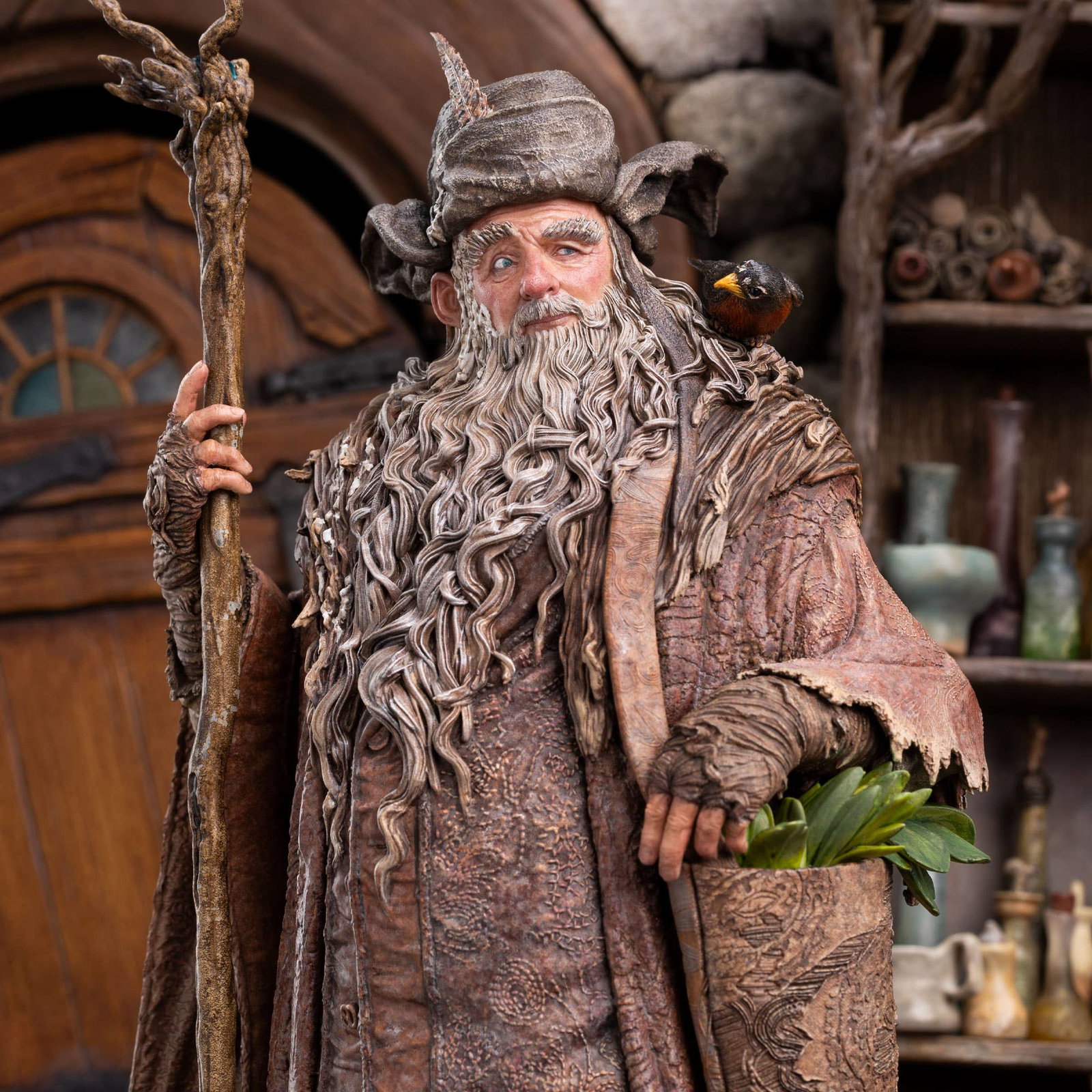 RADAGAST IN RHOSGOBEL image 9