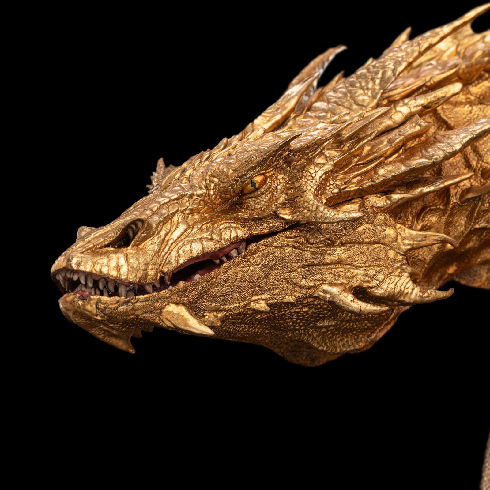 SMAUG THE GOLDEN image 8