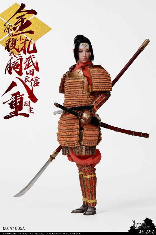 Takeda Shingen Side Room Badong image 2
