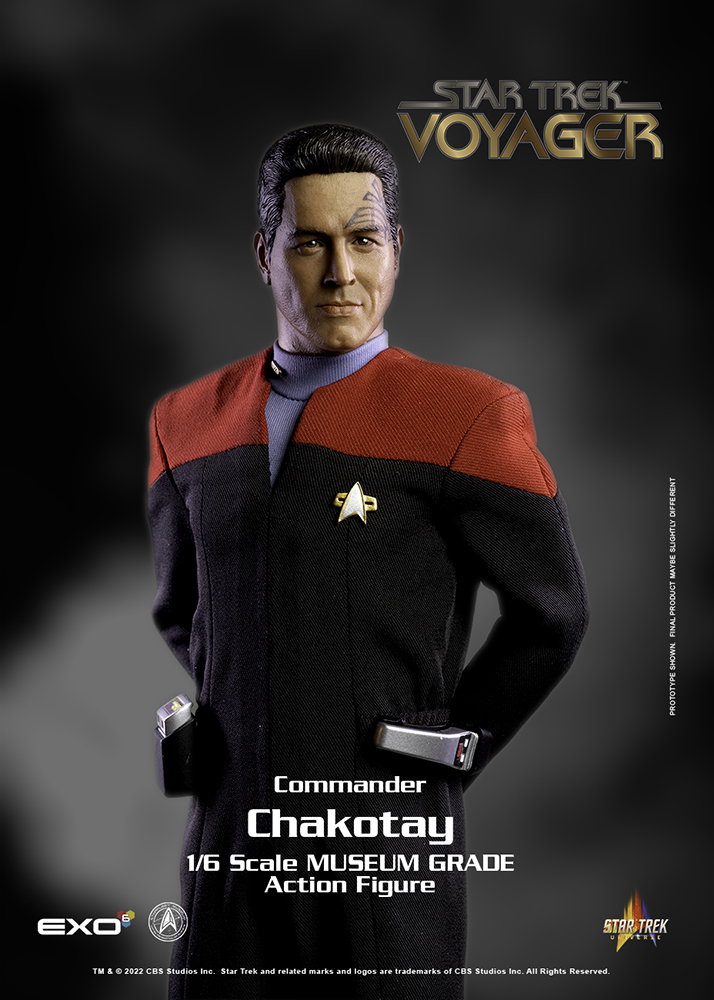 Commander Chakotay image 10