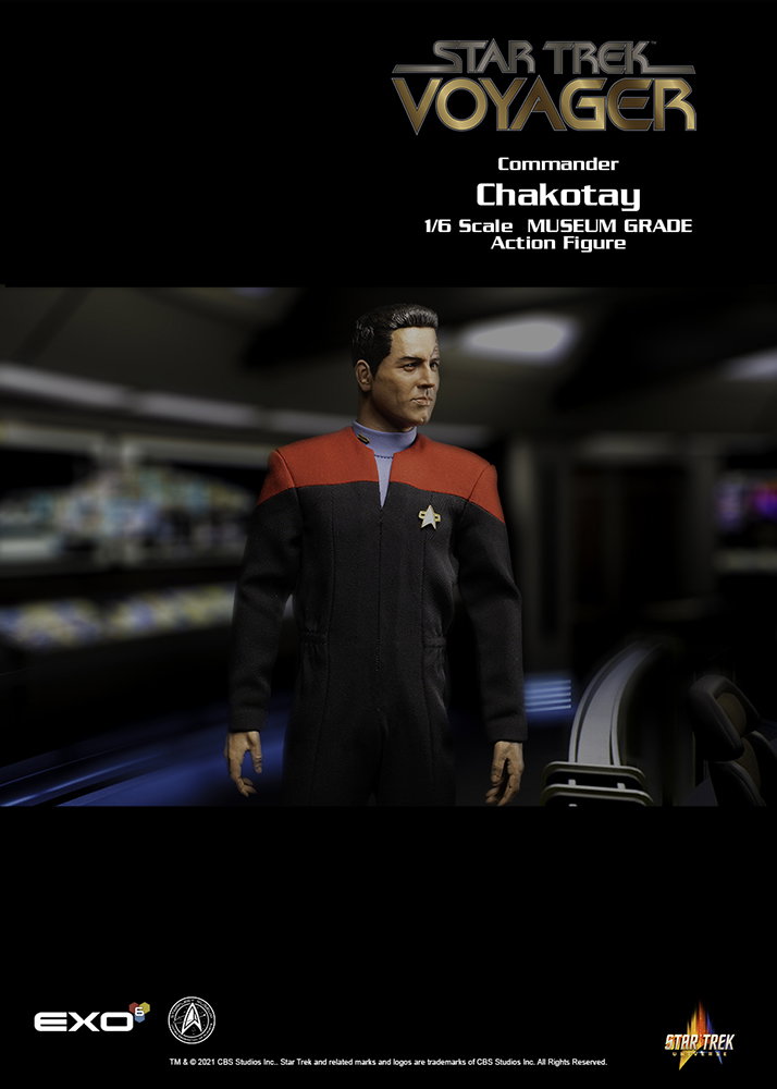 Commander Chakotay image 3