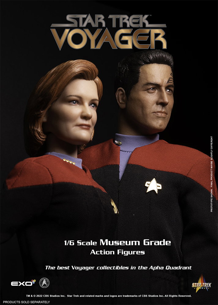 Commander Chakotay image 4