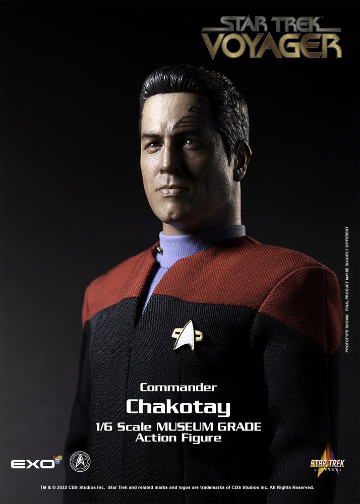 Commander Chakotay image 5