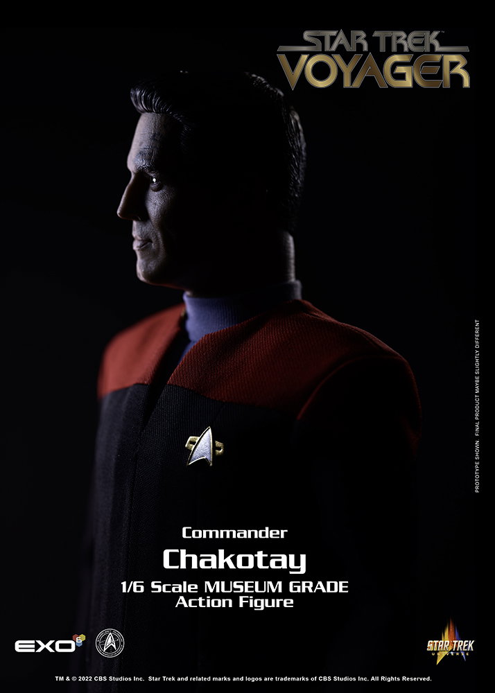 Commander Chakotay image 6