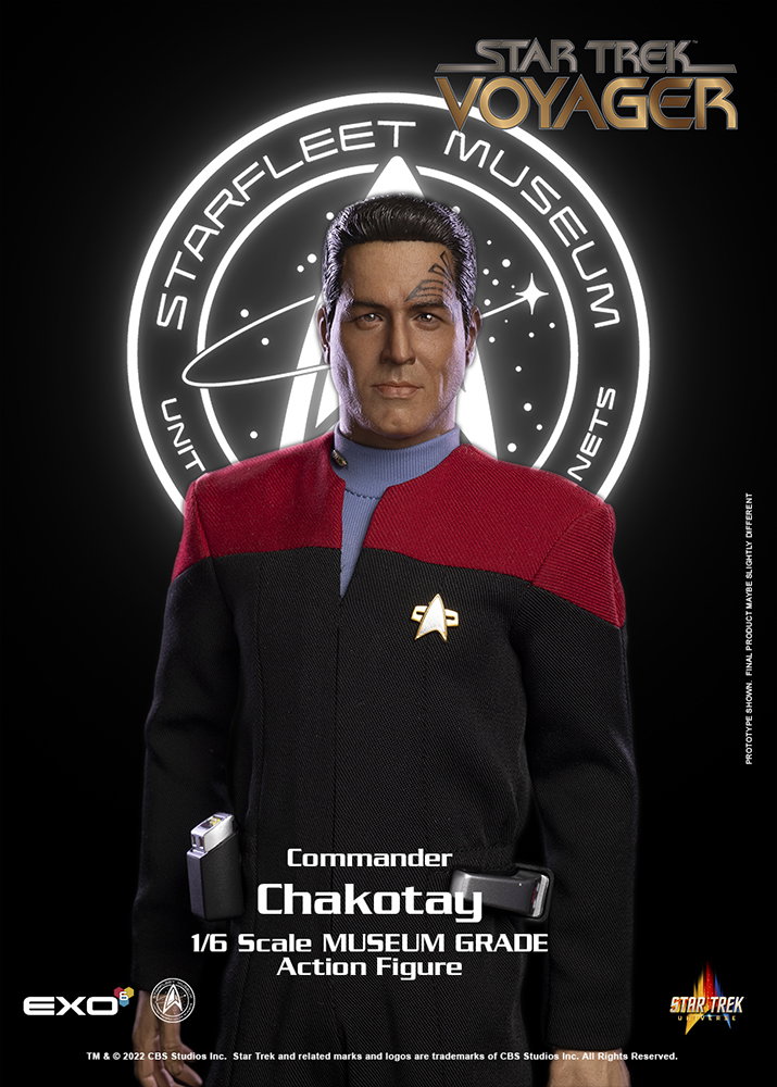 Commander Chakotay image 7