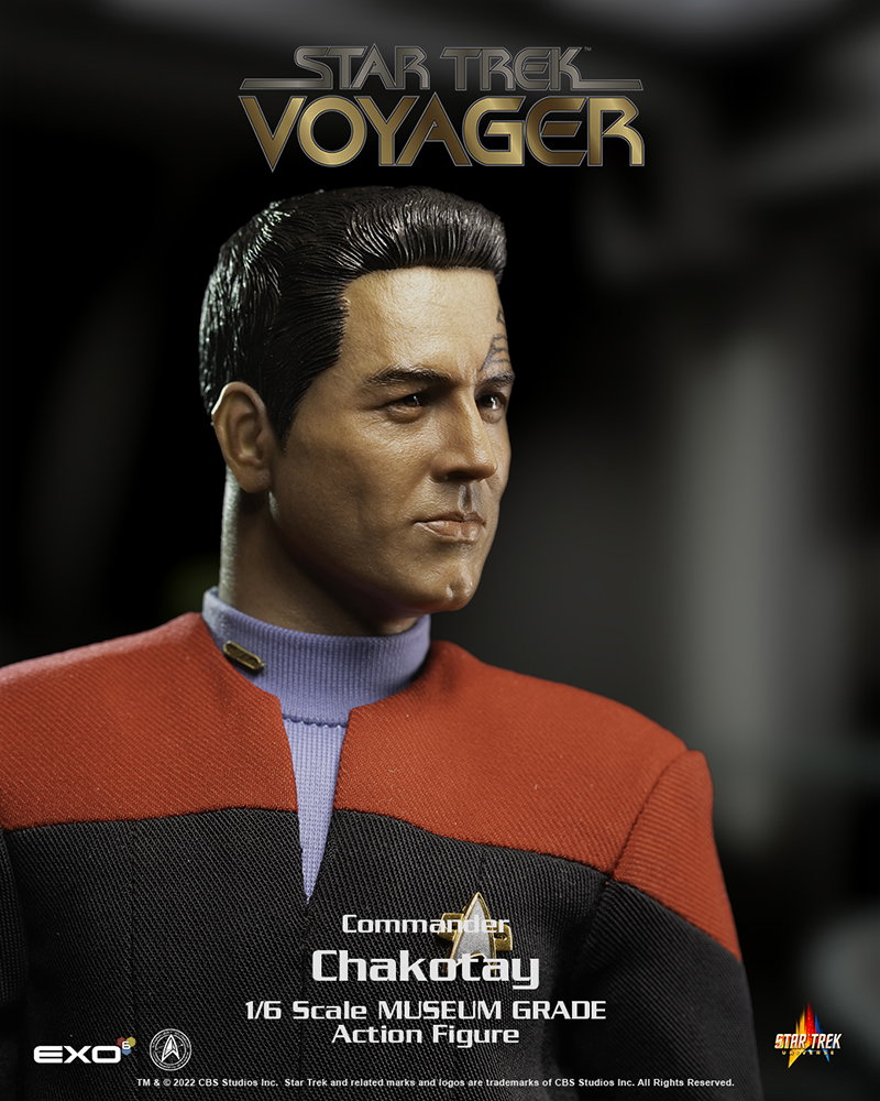 Commander Chakotay image 8