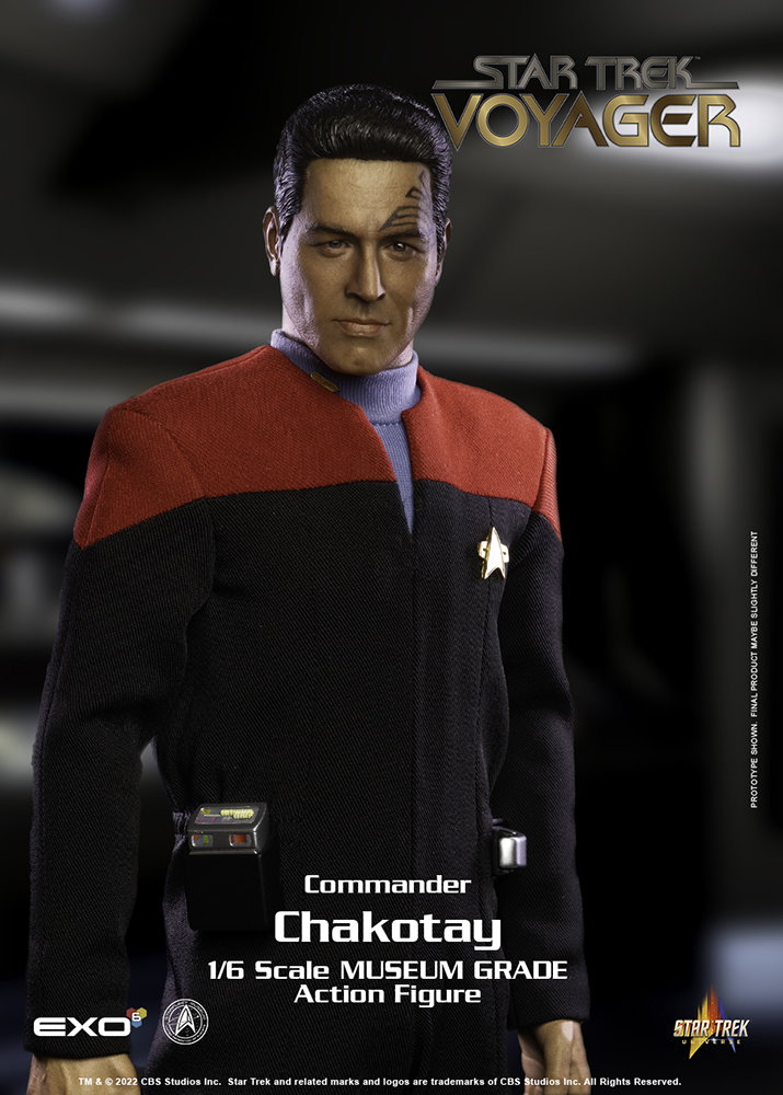 Commander Chakotay image 9