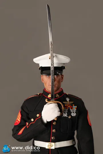 Tony The U.S. Marine Corps Ceremonial Guard