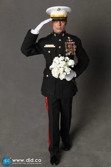 USMC Force Recon Brigadier - General Frank