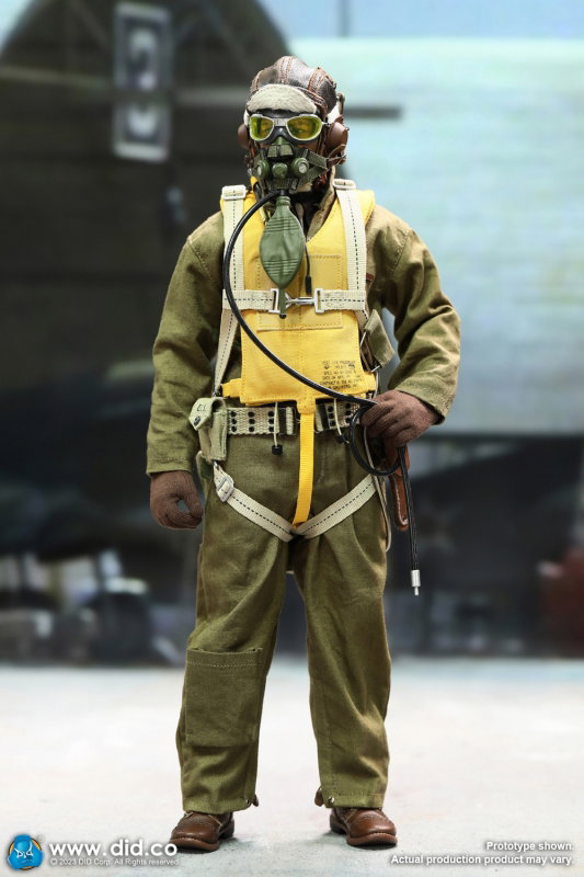 WWII United States Army Air Forces Pilot - Captain Rafe image 6
