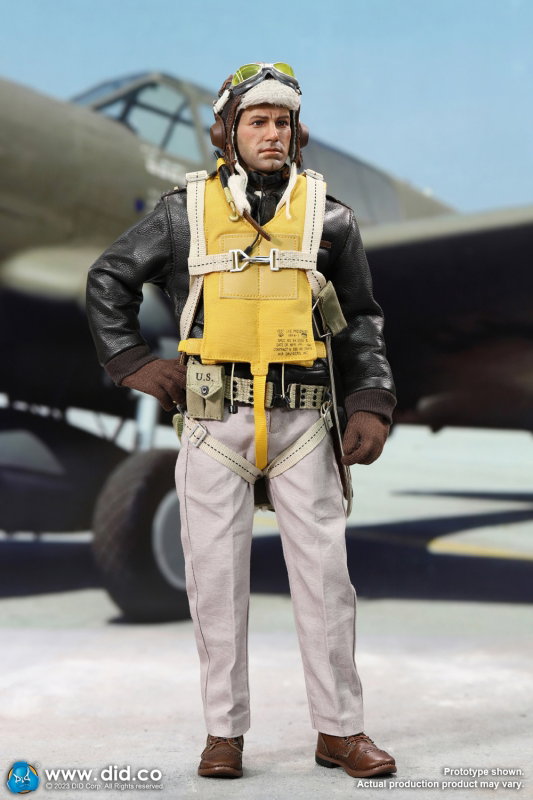 WWII United States Army Air Forces Pilot - Captain Rafe image 8