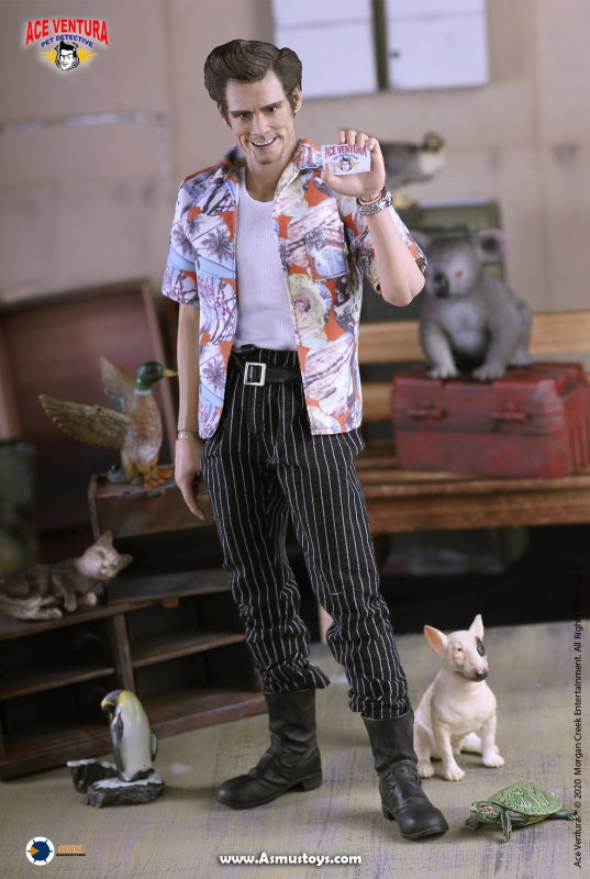 Ace Ventura : Pet Detective - Ace Ventura image 1
