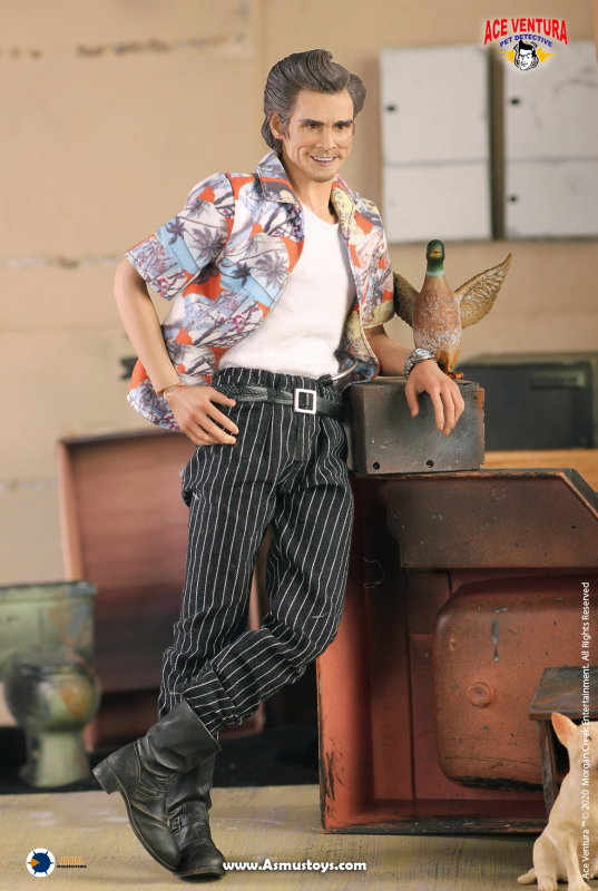 Ace Ventura : Pet Detective - Ace Ventura image 2