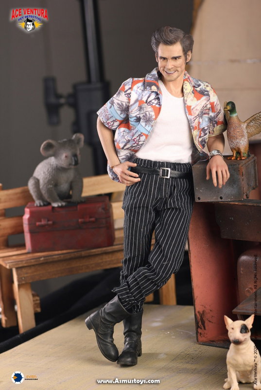 Ace Ventura : Pet Detective - Ace Ventura image 3