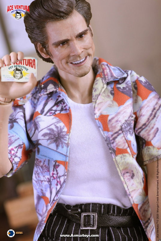 Ace Ventura : Pet Detective - Ace Ventura image 4
