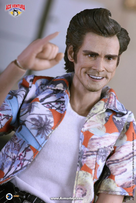 Ace Ventura : Pet Detective - Ace Ventura image 5