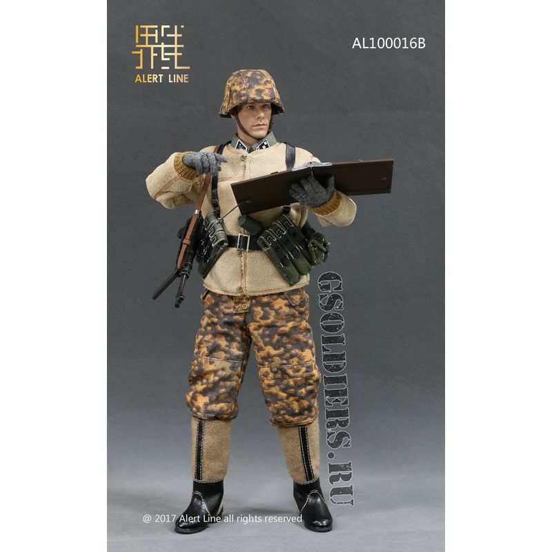 Accessories WWII Germany SS Officer image 4