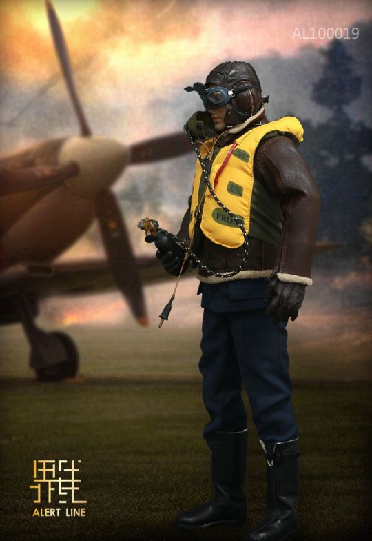 Royal Air Force Fighter Pilot image 4