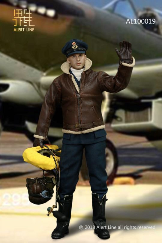 Royal Air Force Fighter Pilot image 7