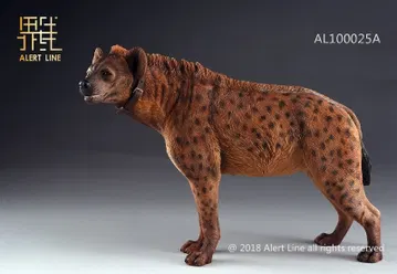 Brown Crocuta Crocuta Spotted Hyena
