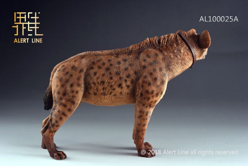 Brown Crocuta Crocuta Spotted Hyena image 2