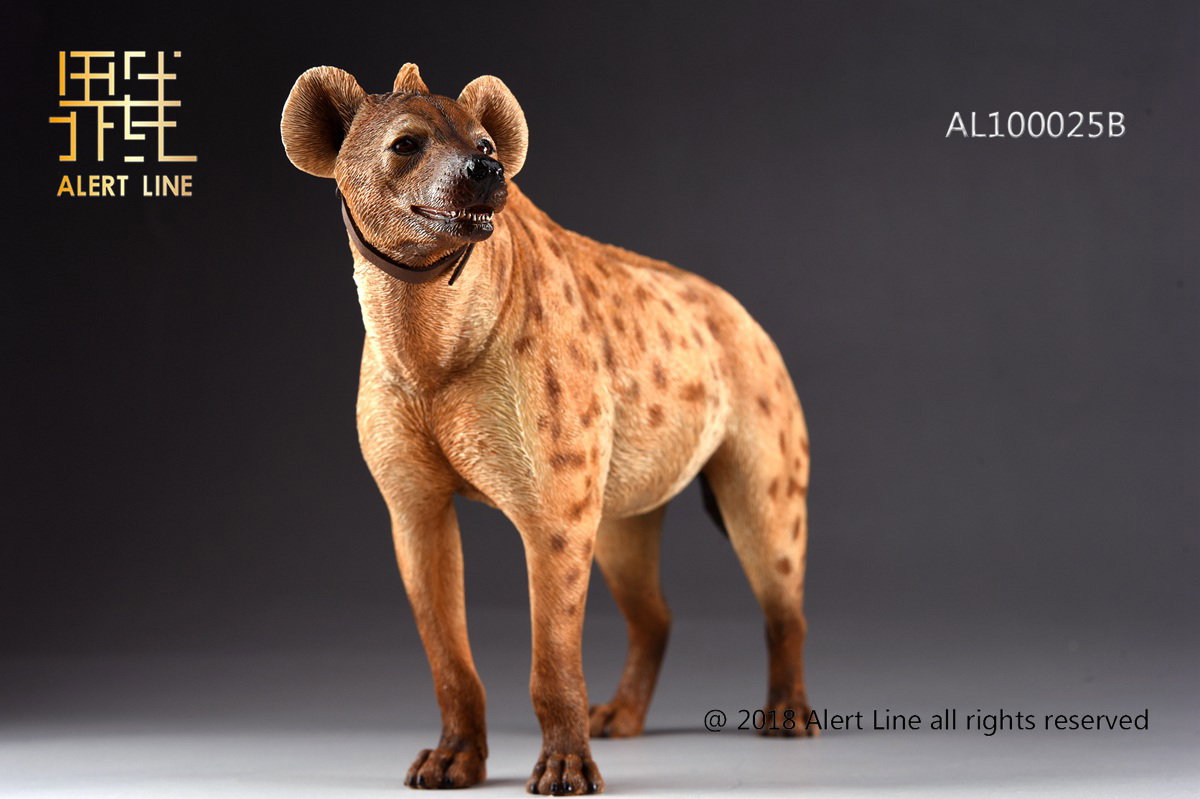 Light Brown Crocuta Crocuta Spotted Hyena image 2