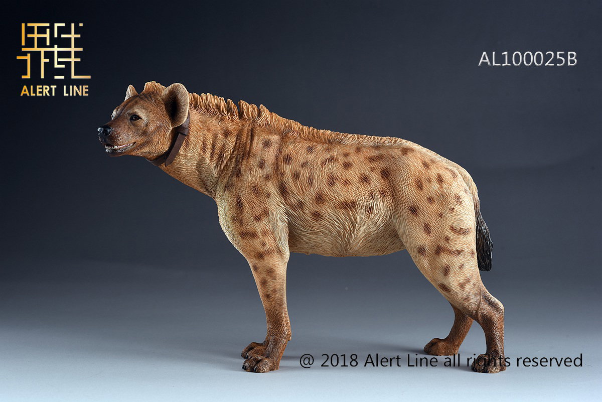 Light Brown Crocuta Crocuta Spotted Hyena image 3